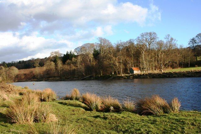 A river with grassy banks and trees in the background.