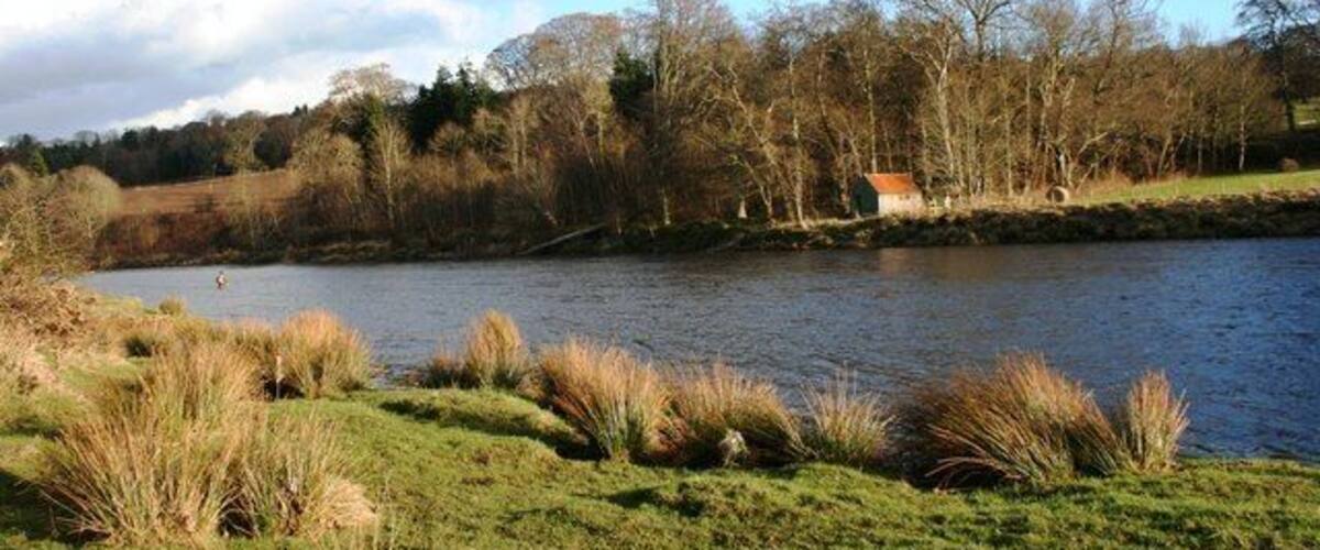 A river with grassy banks and trees in the background.