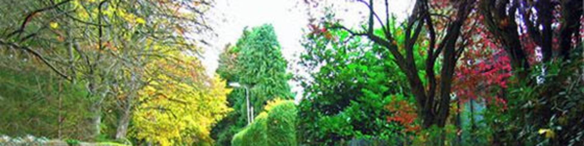 Station Road East, Milltimber Road from the A93 to the demolished Milltimber railway station on the dismantled Deeside line, now the Deeside Way