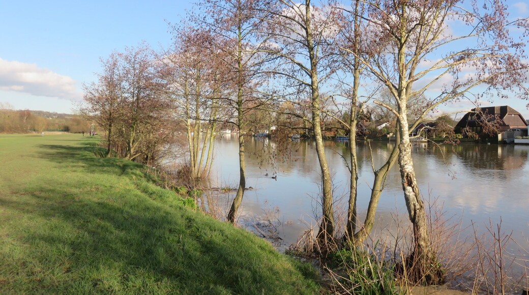 River Thames at Bourne End in Winter Sun