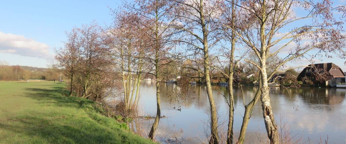 River Thames at Bourne End in Winter Sun