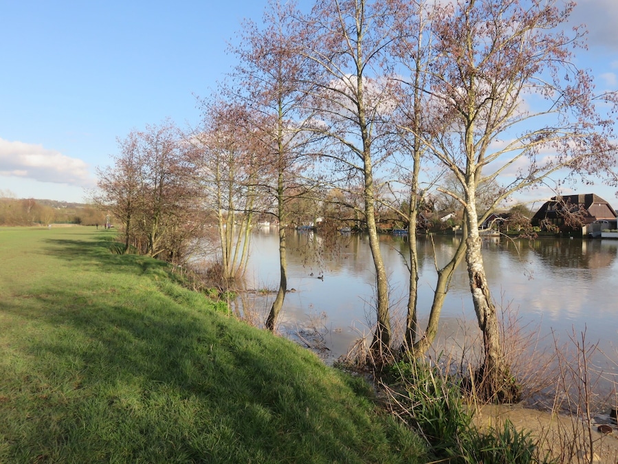 River Thames at Bourne End in Winter Sun