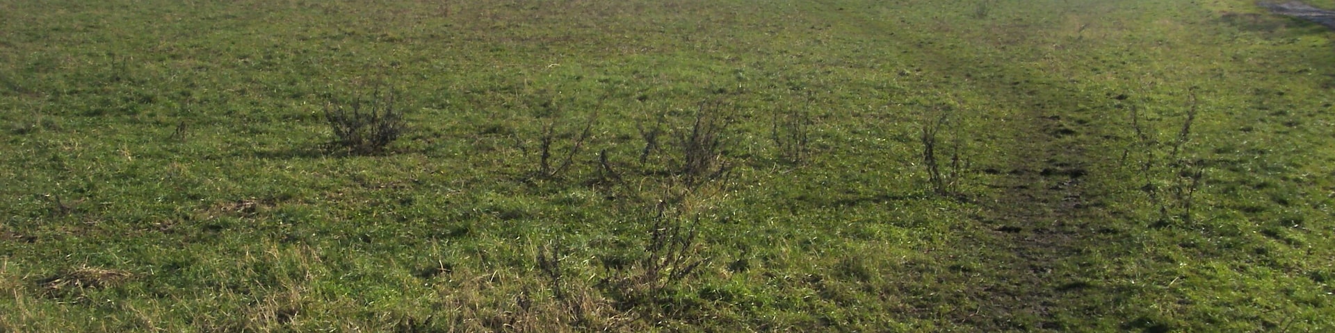 Footpath to Hedsor Hill Off Hedsor Road the footpath to Hedsor Hill