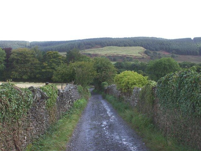 A narrow rural road flanked by stone walls and dense greenery, leading through a hilly landscape.