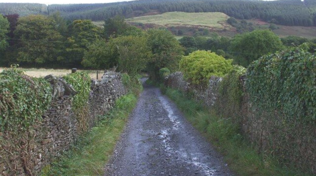 A narrow rural road flanked by stone walls and dense greenery, leading through a hilly landscape.