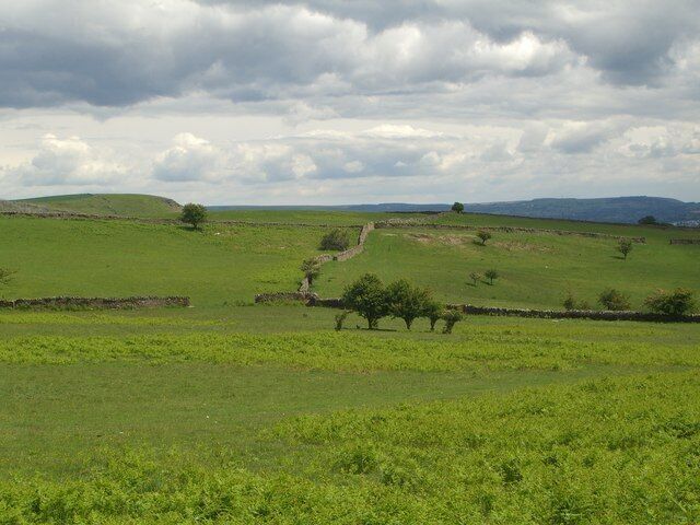 Um campo verde com muros de pedra e algumas árvores.