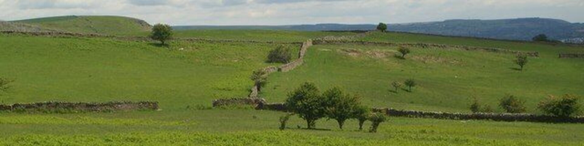 Um campo verde com muros de pedra e algumas árvores.