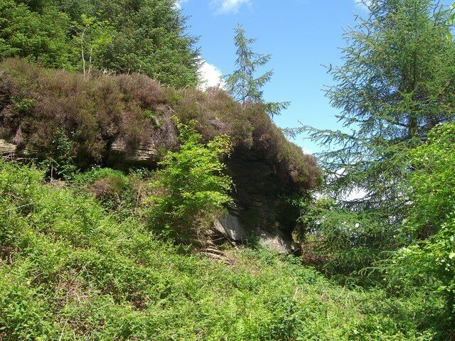 A rocky cliff with dense green vegetation and trees.