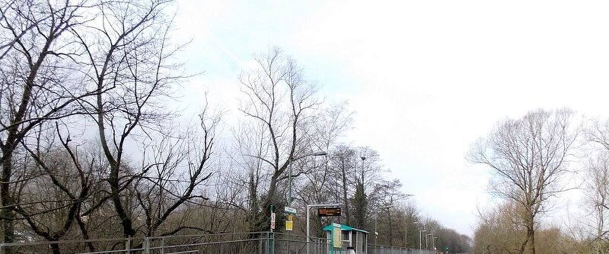 A railway platform with a signal box and tracks surrounded by leafless trees.