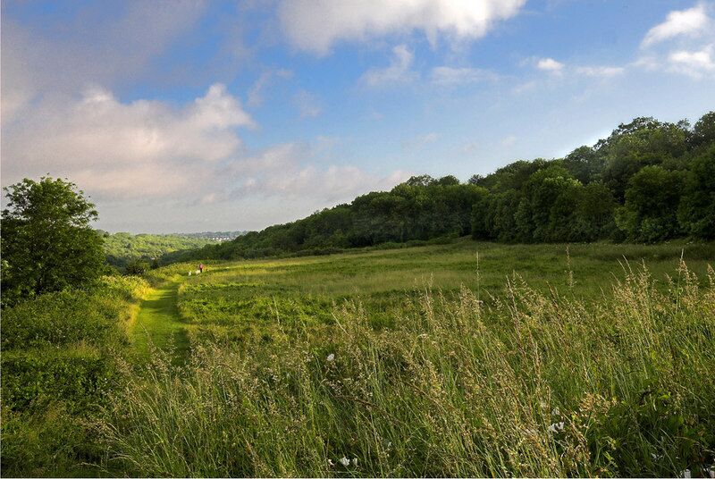 Betts Mead Kenley Betts Mead Kenley looking towards Purley.