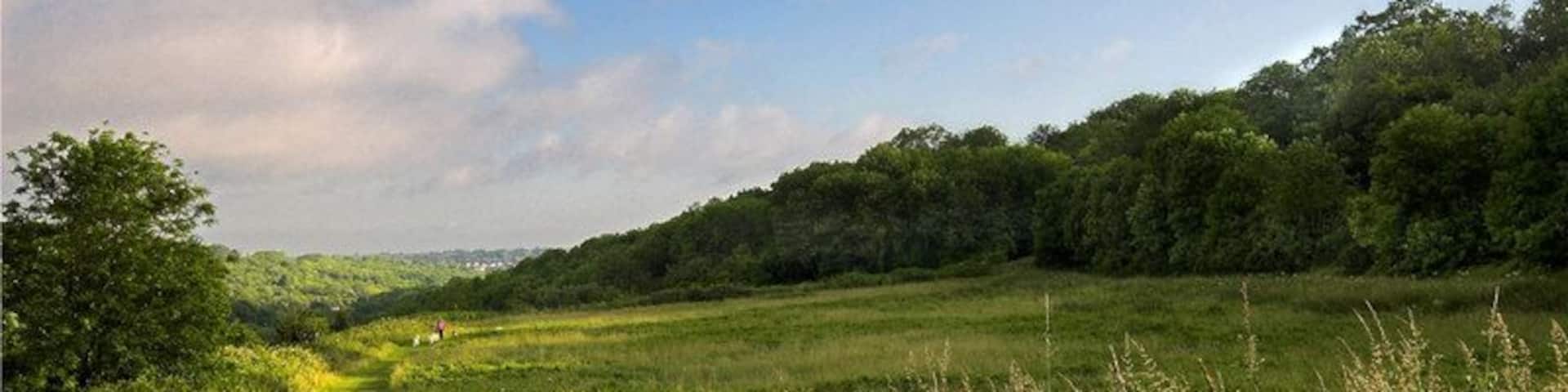 Betts Mead Kenley Betts Mead Kenley looking towards Purley.