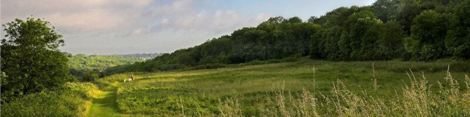 Betts Mead Kenley Betts Mead Kenley looking towards Purley.