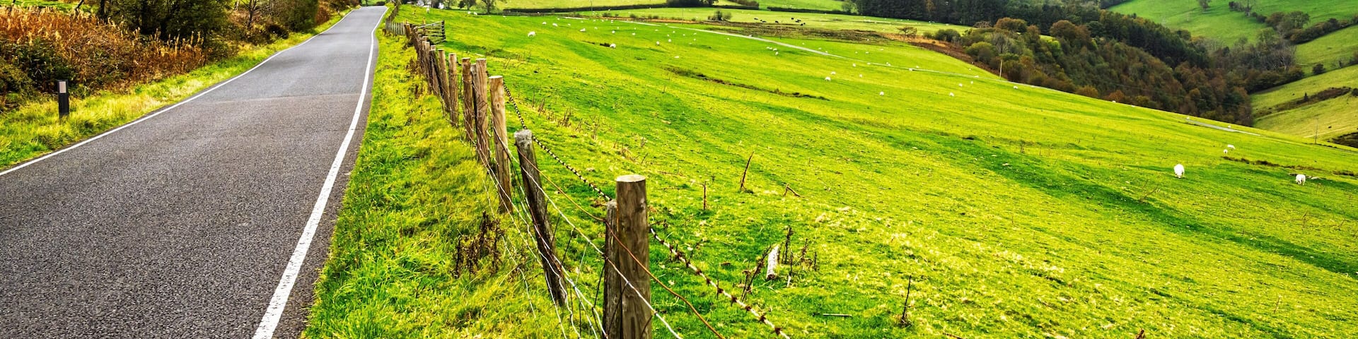 Farms and Fields, Wales, UK
