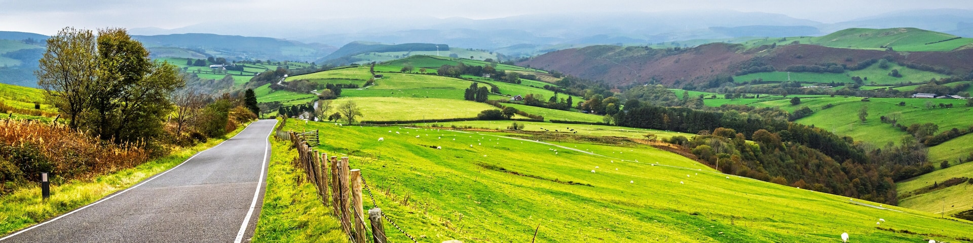 Farms and Fields, Wales, UK