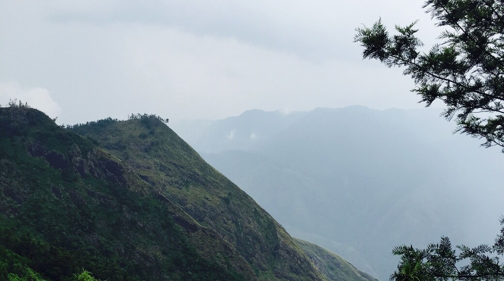 There are two sides one side is kerala and the other tamilnadu .