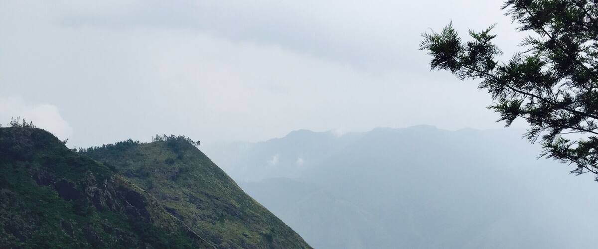 There are two sides one side is kerala and the other tamilnadu .