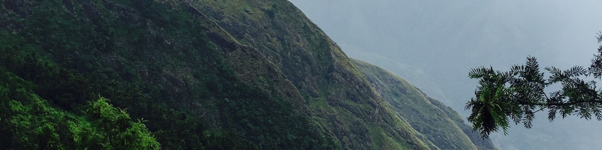 There are two sides one side is kerala and the other tamilnadu .