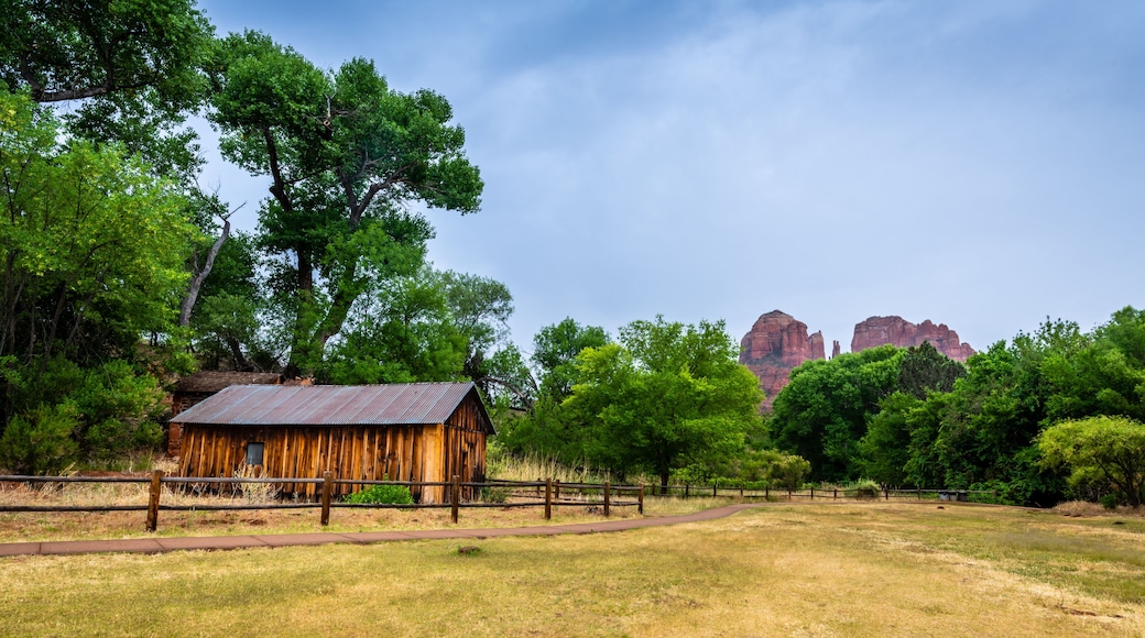 The Old Mill of Crescent Moon Ranch