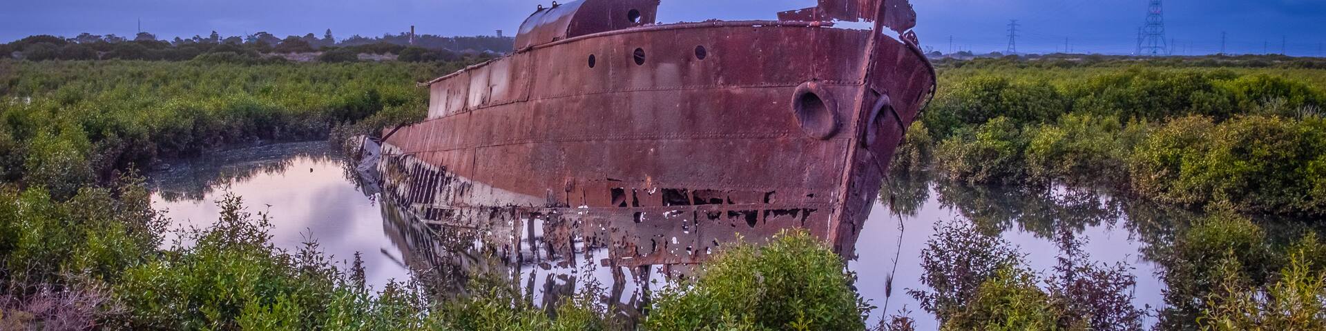 A rusted shipwreck in a marshy area with dense vegetation and power lines in the background.