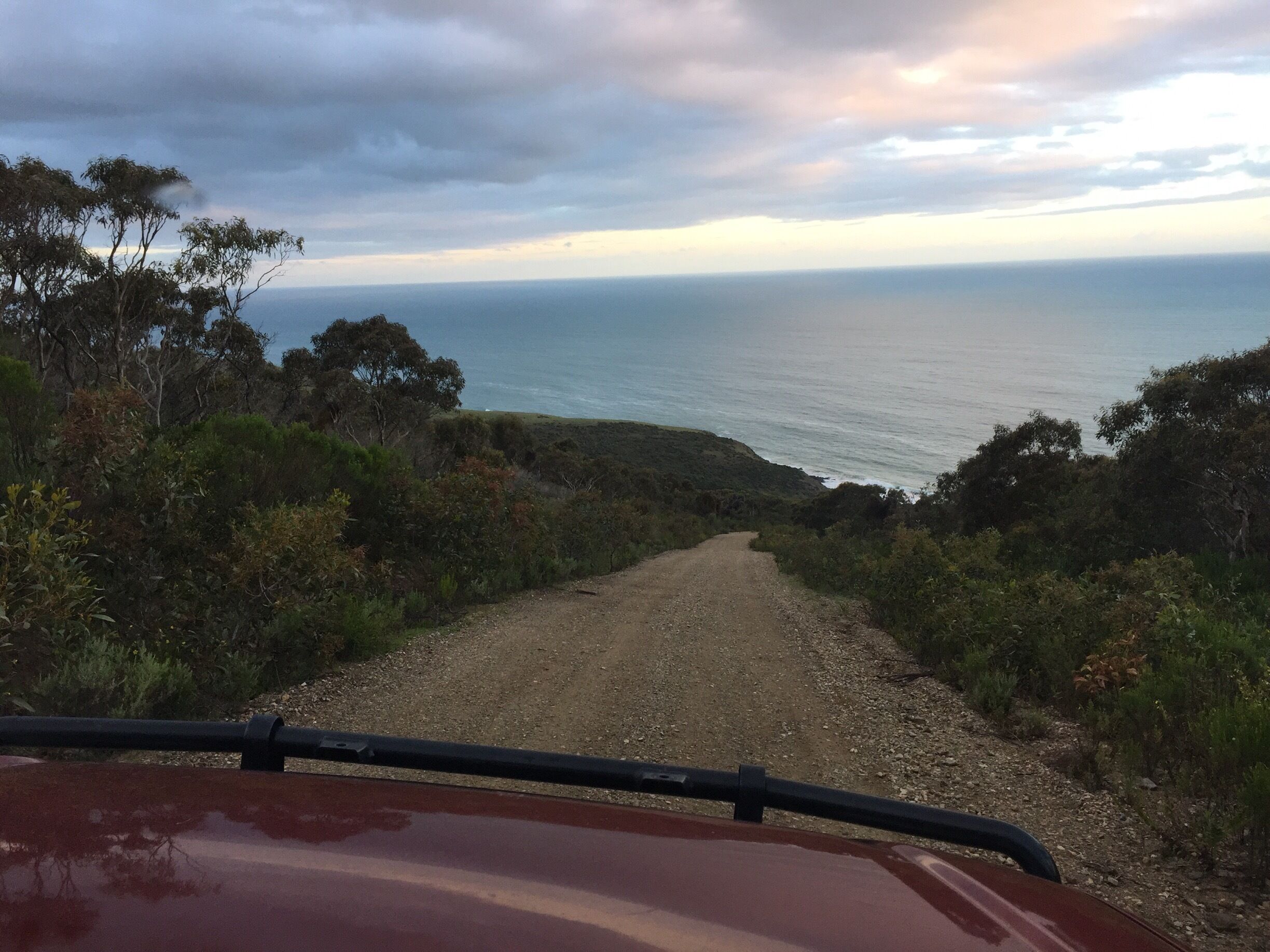 A gravel road leading to a coastal area with trees and a view of the ocean.