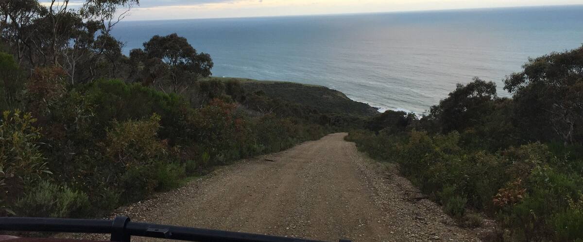 A gravel road leading to a coastal area with trees and a view of the ocean.