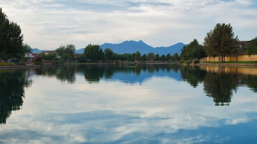 Panoramic view of Sahuarita Lake with water reflection, Arizona, USA