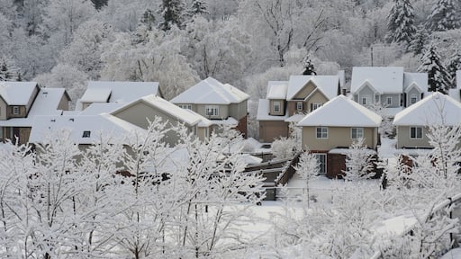 Winter morning in the small town