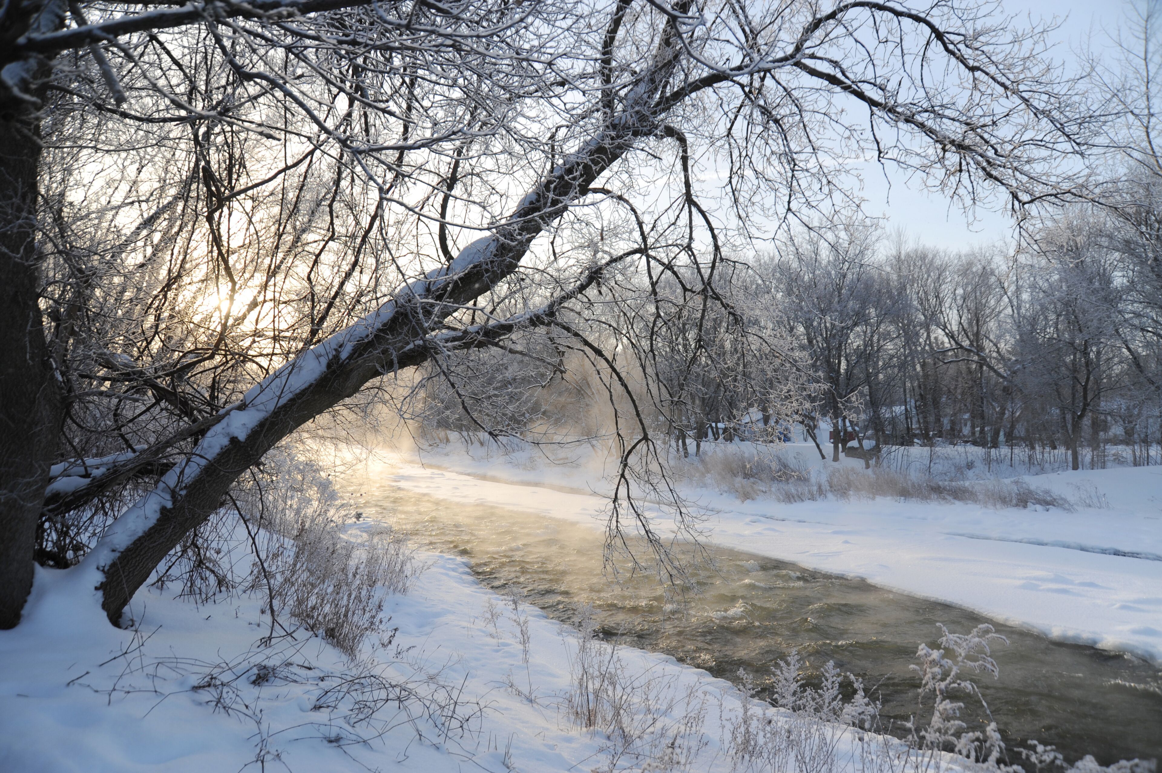 ฮอลตัน ฮิลส์