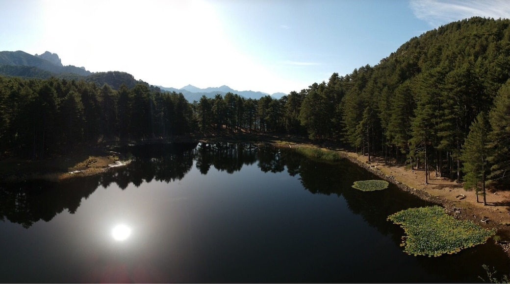 Une très belle randonnée à faire tôt en été. Un peu raide au début, puis on arrive en forêt avant de déboucher sur le lac.