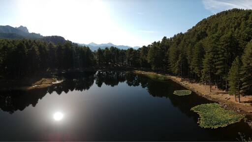 Une très belle randonnée à faire tôt en été. Un peu raide au début, puis on arrive en forêt avant de déboucher sur le lac.