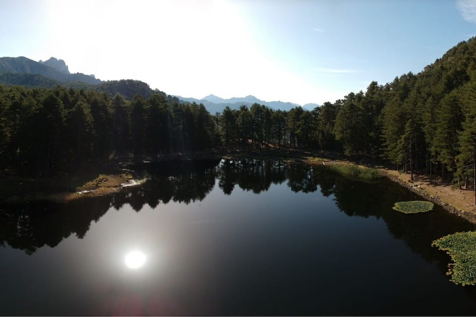 Un lac paisible, entouré de forêts denses et de montagnes, sous un ciel dégagé.
