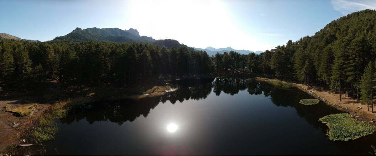 A calm lake surrounded by dense forests and mountains under a clear sky.