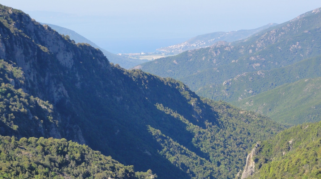 20141 Marignana, France