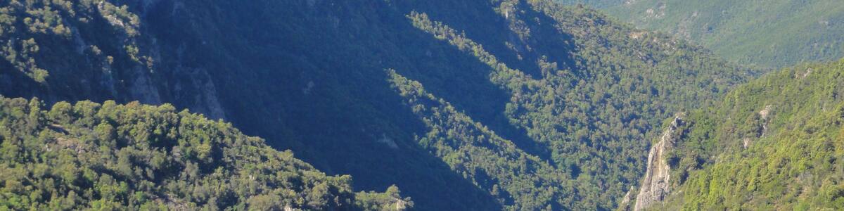 20141 Marignana, France