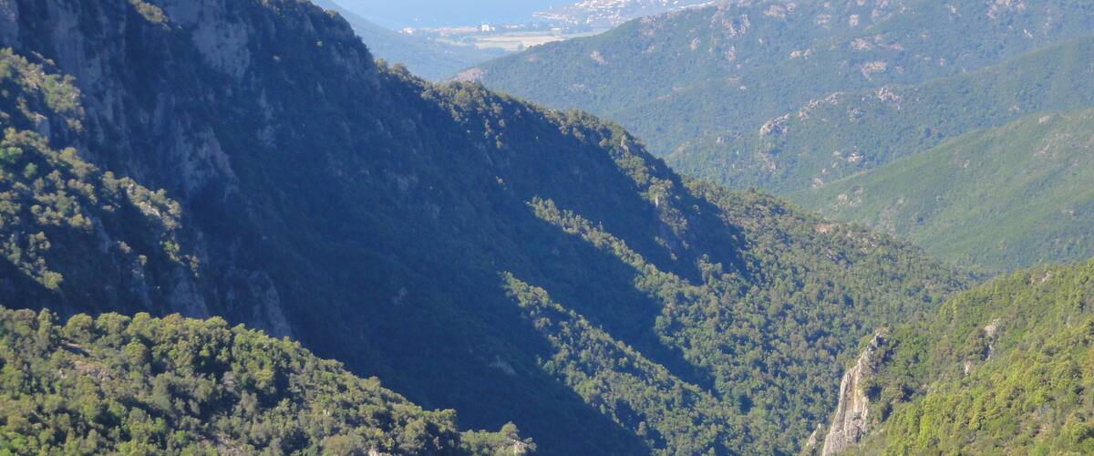 20141 Marignana, France