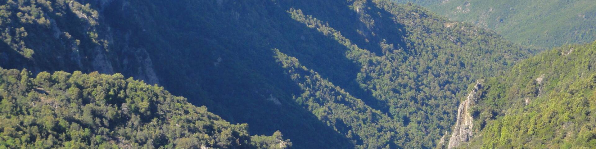 20141 Marignana, France