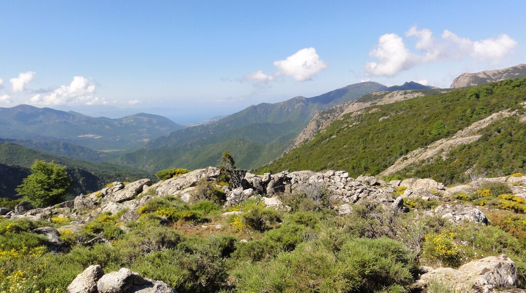 20141 Marignana, France