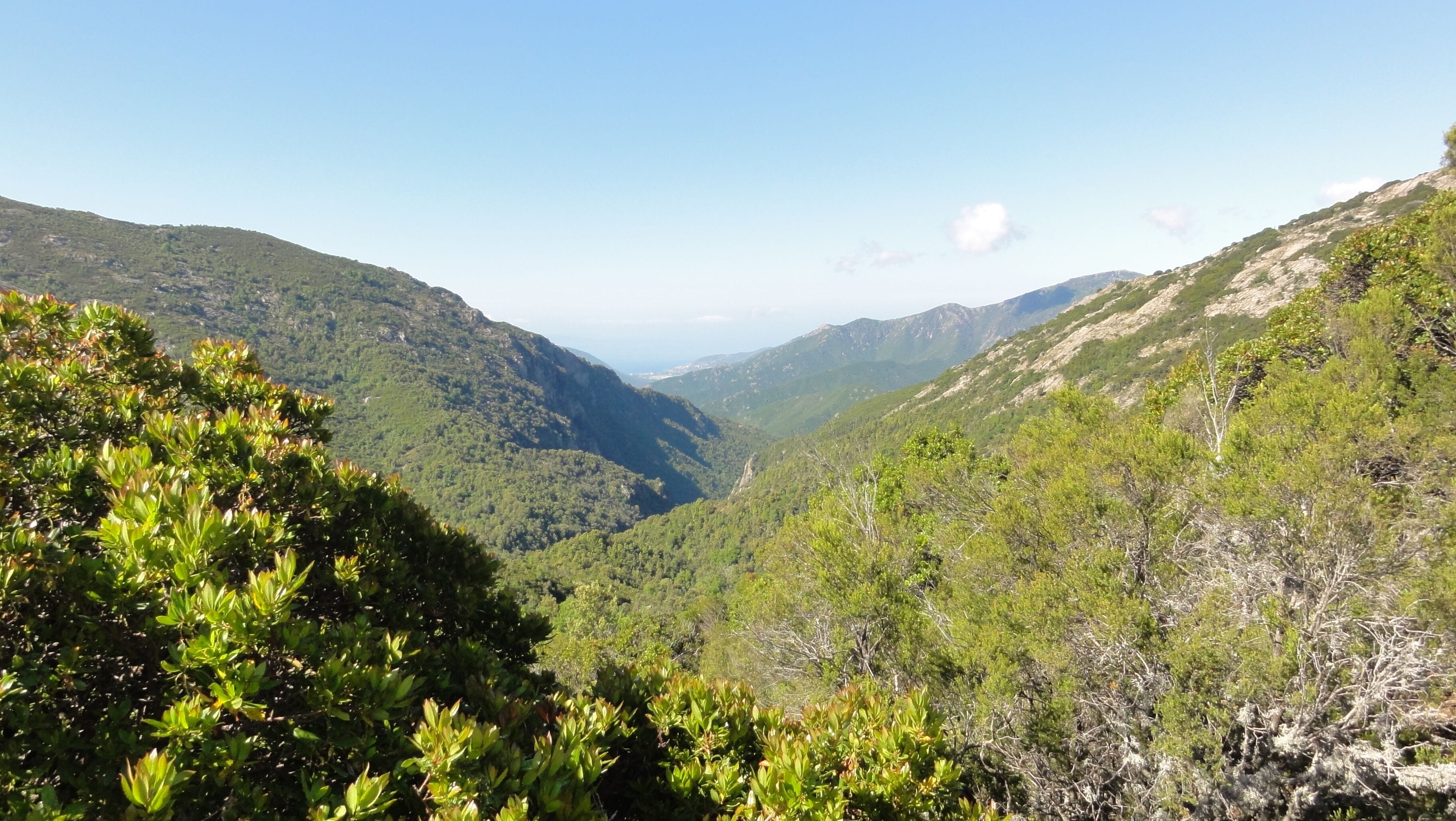 20141 Marignana, France