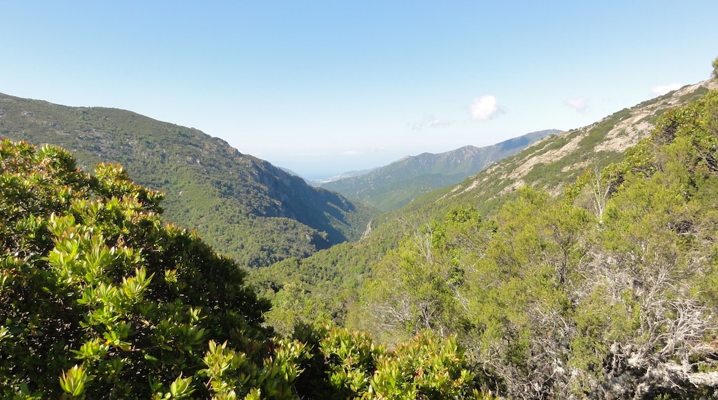 20141 Marignana, France