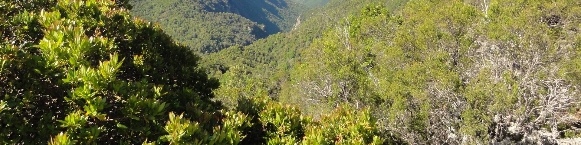 A mountainous landscape with dense green vegetation and a valley.