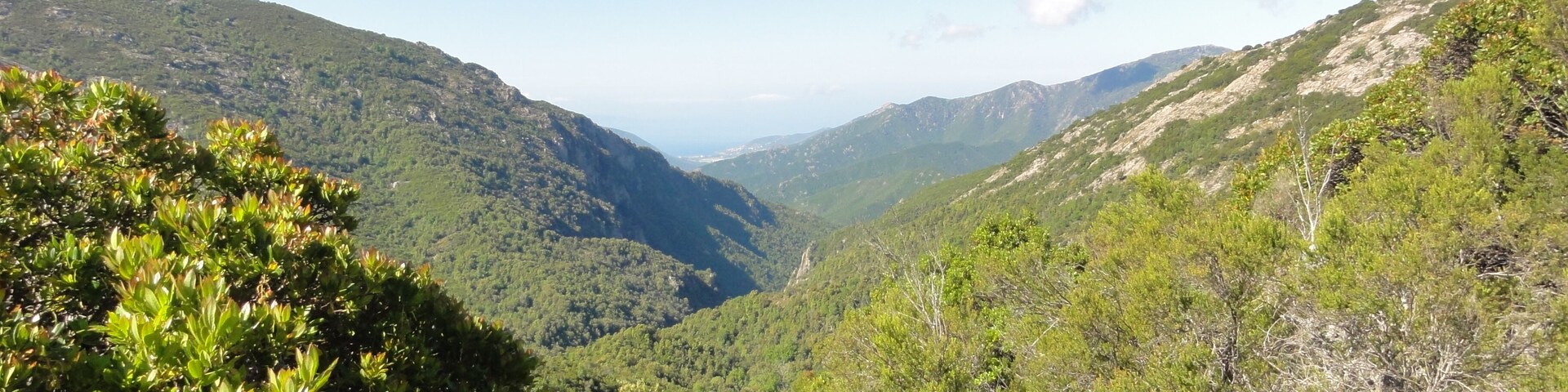Un paisaje montañoso con vegetación verde exuberante y un valle.