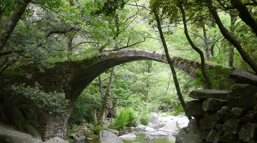 Walking path between Ota and Evisa - Pont génois de Zaglia, Spelunca Canyon