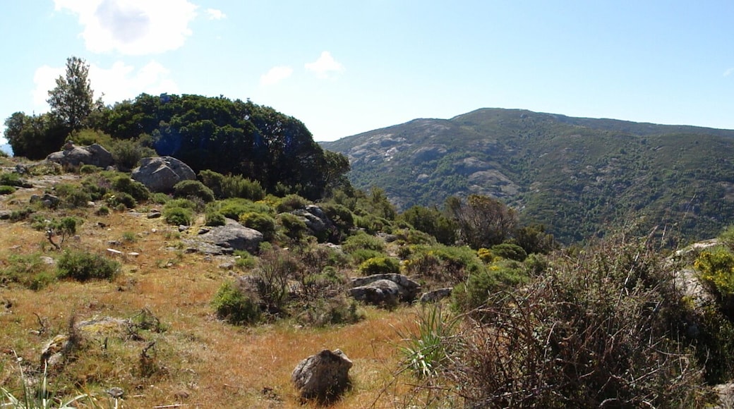 20141 Marignana, France