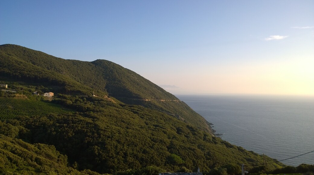 20238 Morsiglia, France