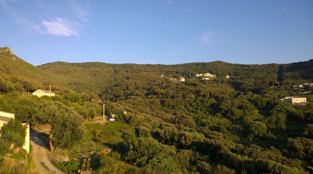 20238 Morsiglia, France