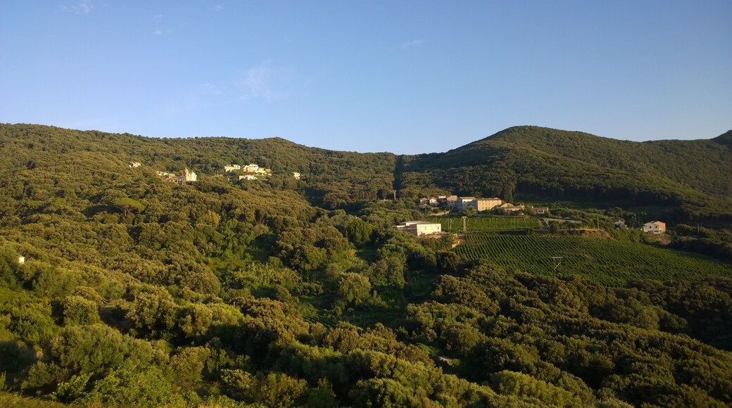 20238 Morsiglia, France