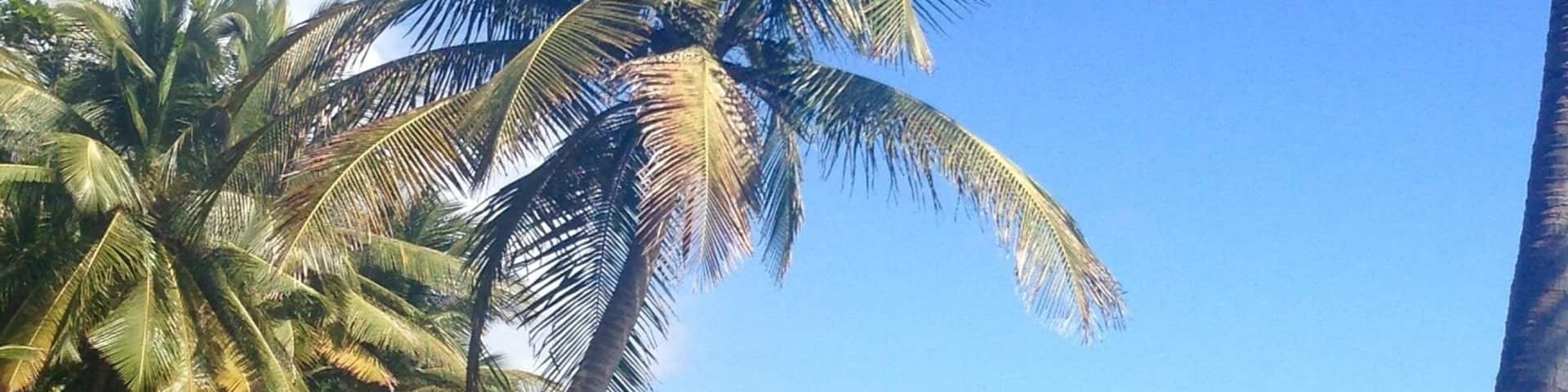 La base d'un fond d Ă©cran non!!!đ