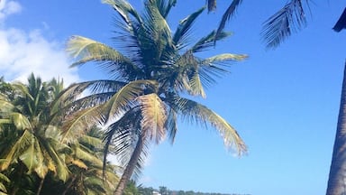 La base d'un fond d écran non!!!😉