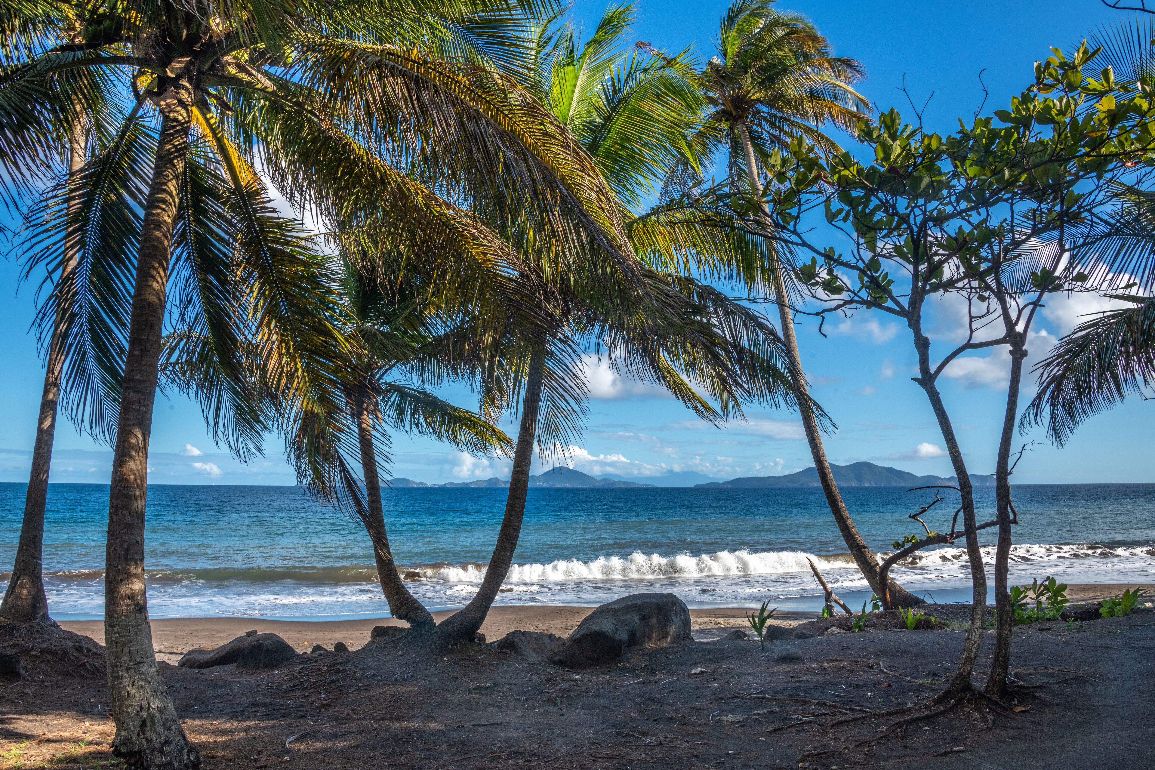 Plage de Grande Anse à Trois rivières en Guadeloupe