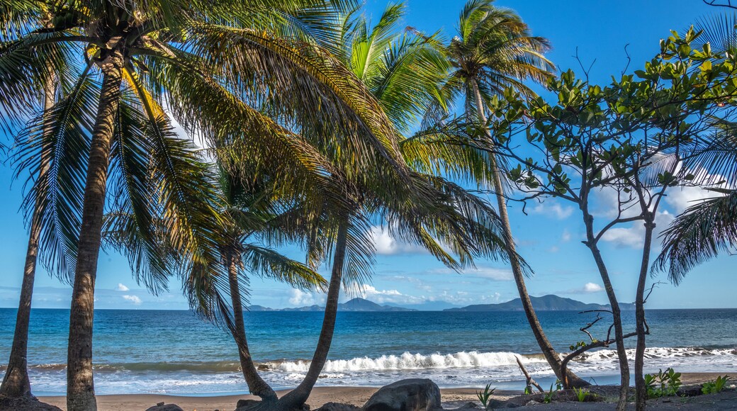 Plage de Grande Anse à Trois rivières en Guadeloupe